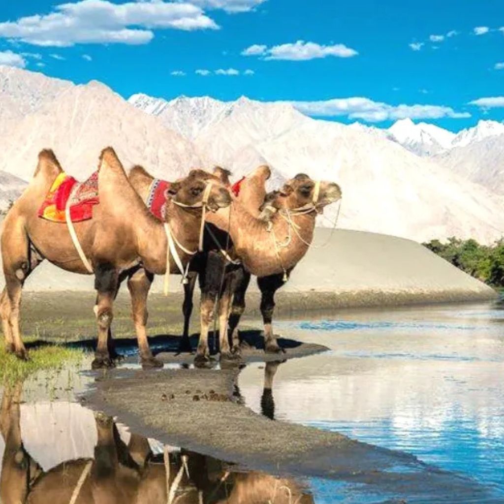 untitled design (15)