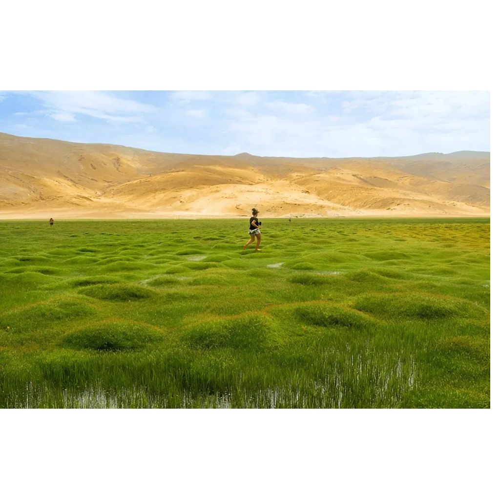 untitled design (16)