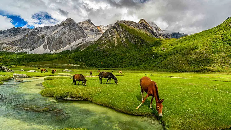 Cheap kashmir tour package